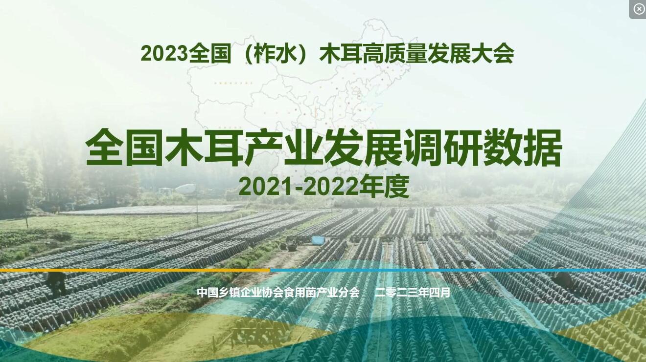 2021-2022年度全国木耳产业调研数据-李昊